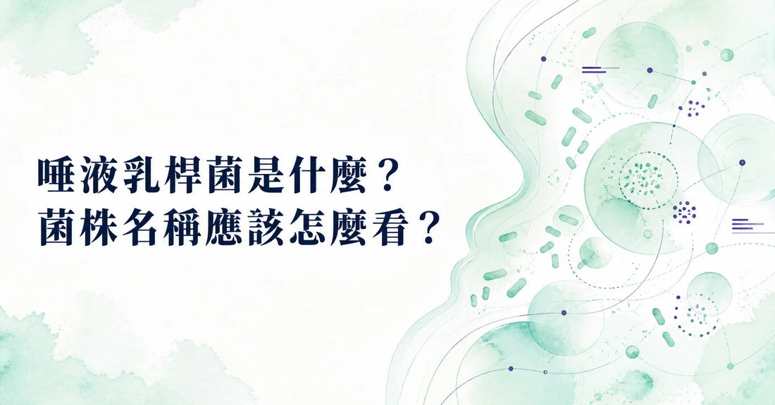 唾液乳桿菌是什麼？菌株名稱應該怎麼看？