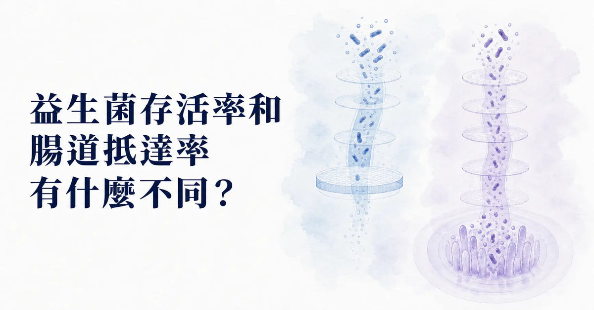 益生菌存活率和腸道抵達率有什麼不同？