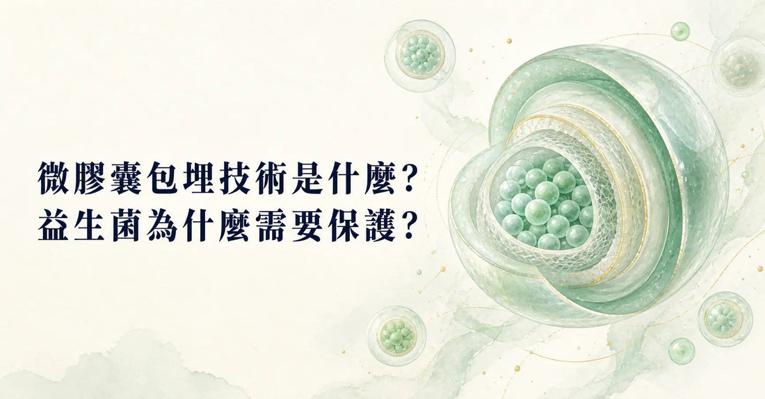 微膠囊包埋技術是什麼？益生菌為什麼需要保護？