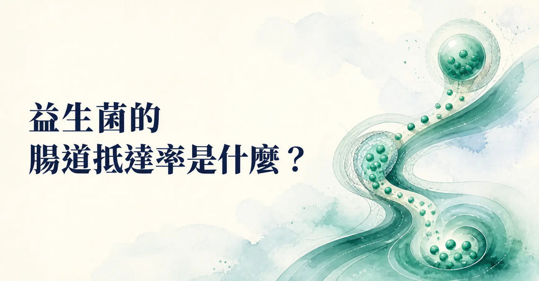 益生菌的腸道抵達率是什麼？為什麼不能只看菌數？