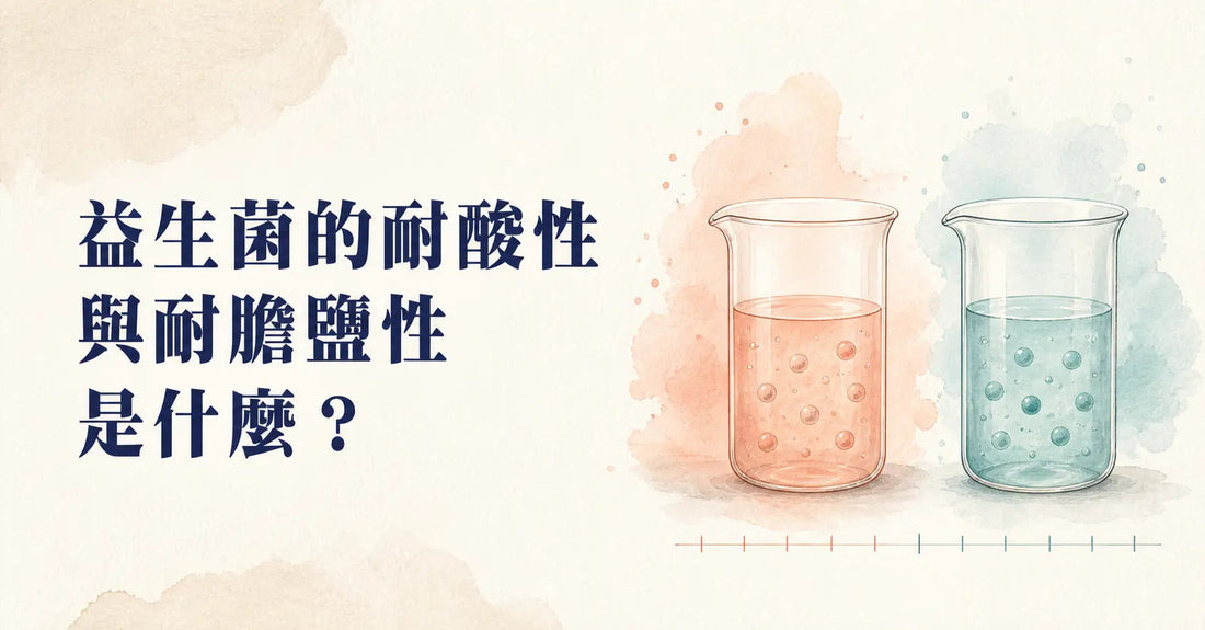 益生菌的耐酸性與耐膽鹽性是什麼？