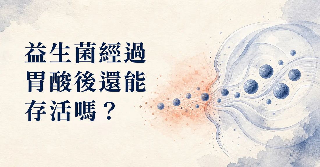 益生菌經過胃酸後還能存活嗎？
