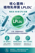 萊德寶 Lactobact LDL-CONTROL 心血管保養益生菌膠囊 30/90 粒