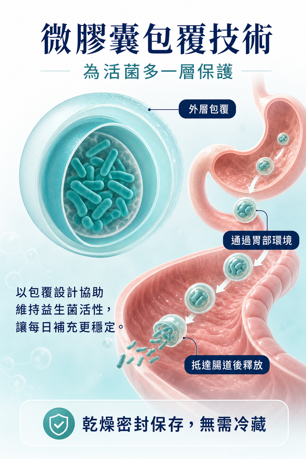 萊德寶 Lactobact LDL-CONTROL 心血管保養益生菌膠囊 30/90 粒