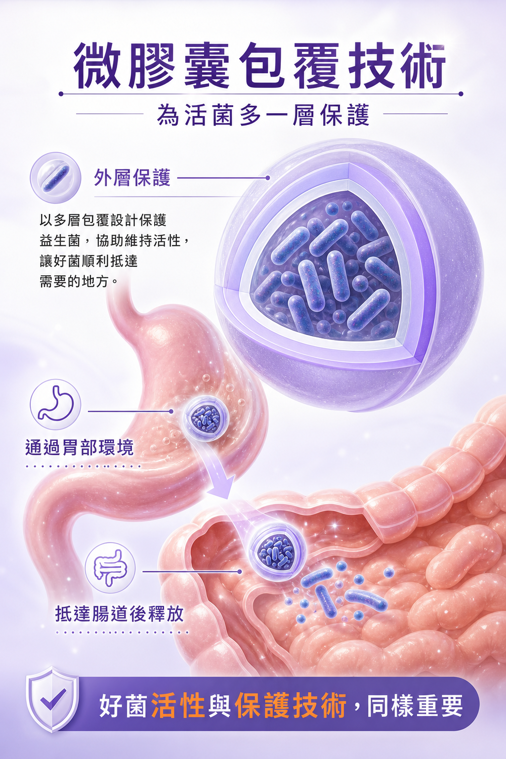 萊德寶 Lactobact Junior Drops 兒童益生菌咀嚼片 60/180 粒 Lactobact 萊德寶